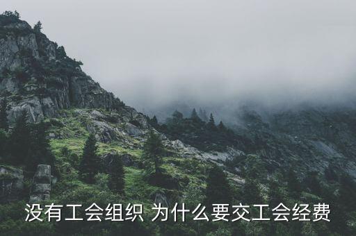 為什么要繳納工會(huì)經(jīng)費(fèi)，什么情況下公司要成立工會(huì)且要交工會(huì)經(jīng)費(fèi)