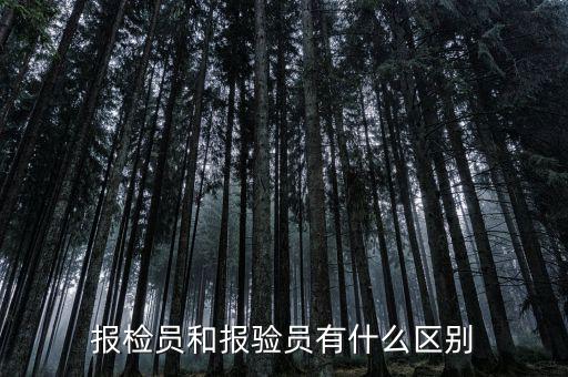 報(bào)驗(yàn)企業(yè)是什么意思，外埠納稅人經(jīng)營地報(bào)驗(yàn)登記是什么意思