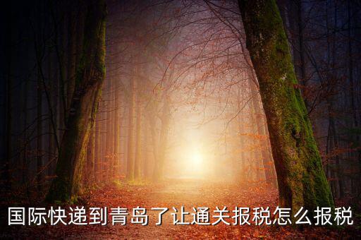 青島物流公司拿什么稅，國際快遞到青島了讓通關(guān)報(bào)稅怎么報(bào)稅