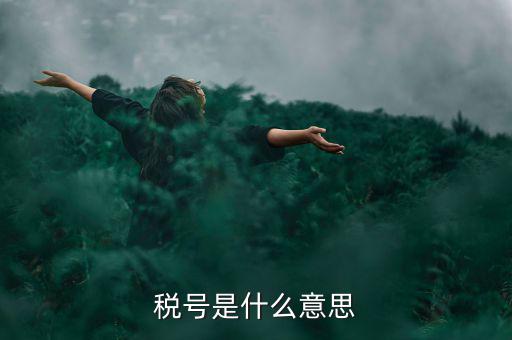 納稅號碼是什么意思，稅號是什么意思