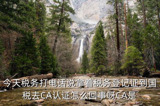 報(bào)稅用的ca是什么，今天稅務(wù)打電話說拿著稅務(wù)登記證到國(guó)稅去CA認(rèn)證怎么回事呀CA是