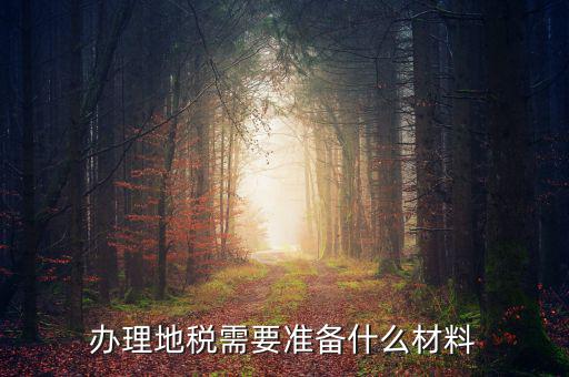 地稅定稅需要什么材料，辦理地稅需要準備什么材料