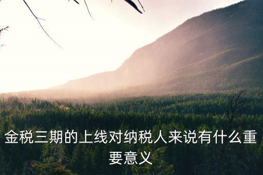 金稅三期的重點是什么意思，金稅三期是什么意思