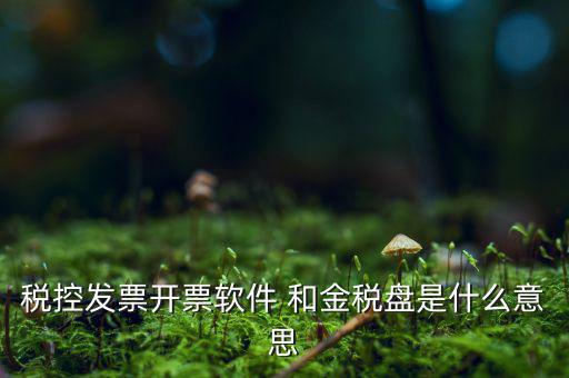 稅控系統(tǒng)指什么，稅控發(fā)票開票軟件 和金稅盤是什么意思
