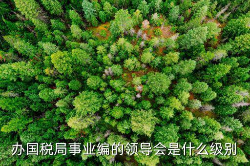 國稅局主任是什么職位，國稅局辦公室人員