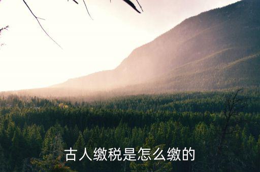 古代稅收交什么，古人繳稅是怎么繳的