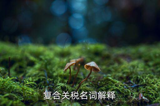 什么東西用復(fù)合稅，中國的增值稅是復(fù)合稅嗎