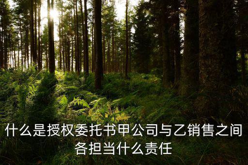 什么是授權(quán)委托書甲公司與乙銷售之間各擔當什么責任