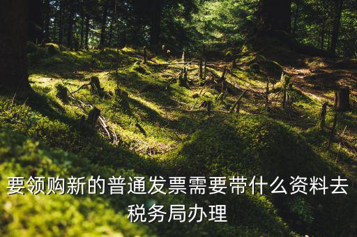 發(fā)票領(lǐng)購本需要帶什么，去國稅局報(bào)稅需要發(fā)票領(lǐng)購簿嗎都需要帶什么大神們幫幫忙