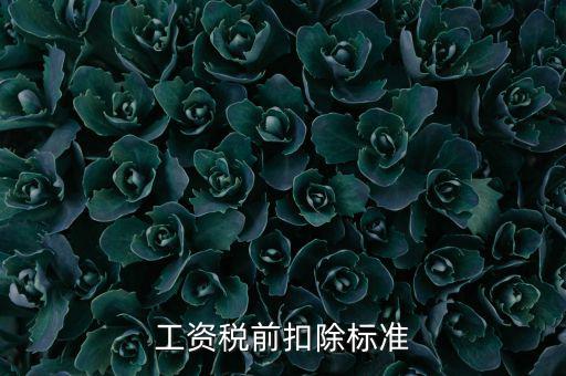 什么是稅前扣除標(biāo)準(zhǔn)，請(qǐng)問差旅費(fèi)稅前扣除標(biāo)準(zhǔn)是什么