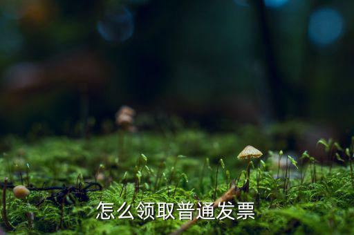 普通發(fā)票在什么地方領(lǐng)，怎么領(lǐng)取普通發(fā)票