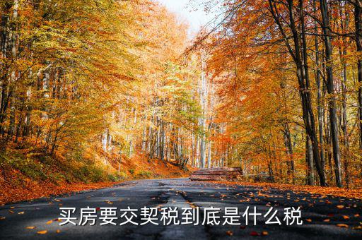 契稅的征稅范圍是什么，契稅的征稅范圍主要有哪些