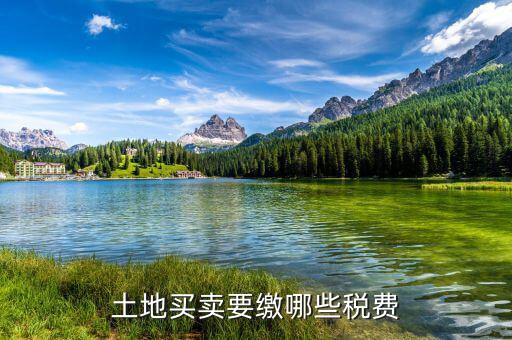 公司買地需要交什么稅，房地產開發(fā)公司買土地要交什么稅