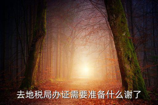 地稅局辦理什么，地稅局開發(fā)票需要辦什么手續(xù)
