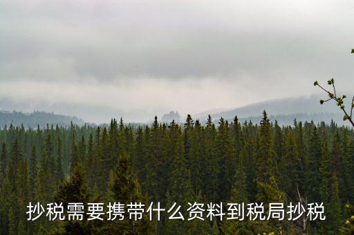 報(bào)稅查什么輔導(dǎo)信息，剛申請(qǐng)為一般納稅人在哪查看是否要經(jīng)過(guò)輔導(dǎo)期納稅申報(bào)初始化填5