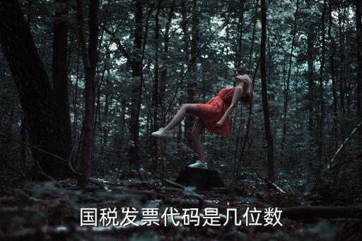 發(fā)票代碼是什么位置，國(guó)稅普票代碼是幾位數(shù)字在什么位置