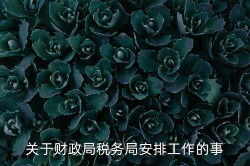 國稅局什么工作計劃，關(guān)于財政局稅務(wù)局安排工作的事