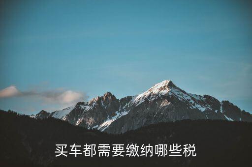 車輛納稅需要什么意思，車輛上路需要交什么稅