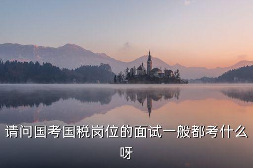 國(guó)稅標(biāo)兵人才考什么，國(guó)稅通用能力測(cè)試考什么