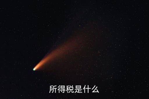 所得稅支出是什么，所得稅是什么