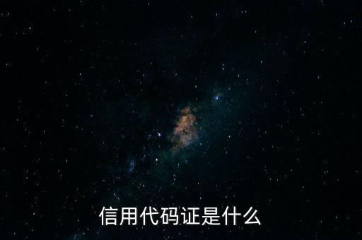 信用代碼號(hào)是什么情況，信用代碼證是什么