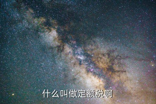 定額定稅是什么意思，什么叫做定額稅啊