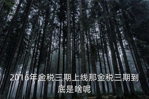 國稅金稅三期是什么意思，金稅三期是什么意思