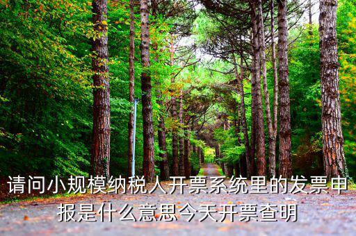 稅票申報是什么意思，納稅申報與申報納稅是一個意思嗎都是代理記賬的業(yè)務(wù)范疇嗎  搜