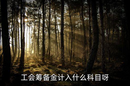 什么是工會籌備金，工會籌備金計(jì)入什么科目呀