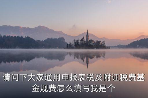 通用申報(bào)基金規(guī)費(fèi)包括什么，請(qǐng)問(wèn)下大家通用申報(bào)表稅及附證稅費(fèi)基金規(guī)費(fèi)怎么填寫我是個(gè)