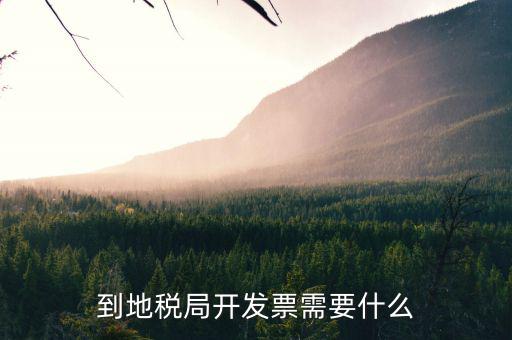 去地稅領發(fā)票需要什么，申請地稅發(fā)票需要什么資料