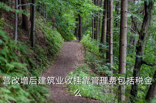 營(yíng)改增后建筑業(yè)收掛靠管理費(fèi)包括稅金么