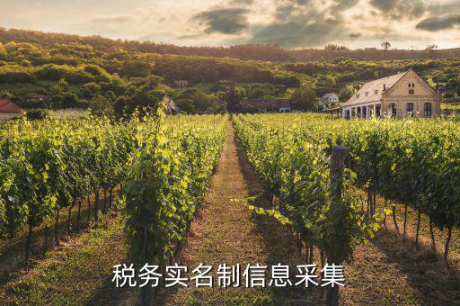 實(shí)名采集需要什么資料，實(shí)名制驗(yàn)證身份證信息采集有沒有這種身份證證件識別方式  搜