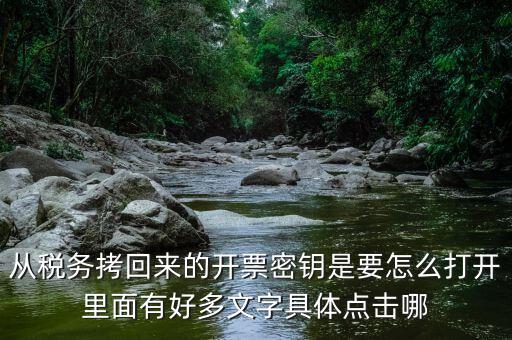 稅務(wù)密鑰是什么，增值稅專用發(fā)票辦理秘鑰是什么意思
