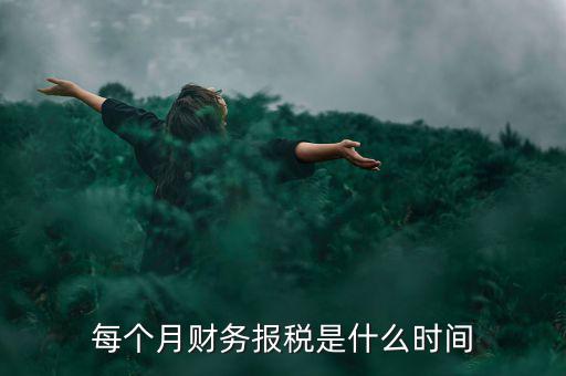每個月財(cái)務(wù)報(bào)稅是什么時(shí)間