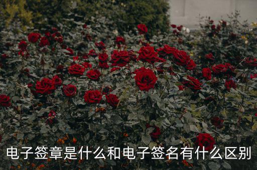 國稅電子簽章什么意思，什么是電子印章