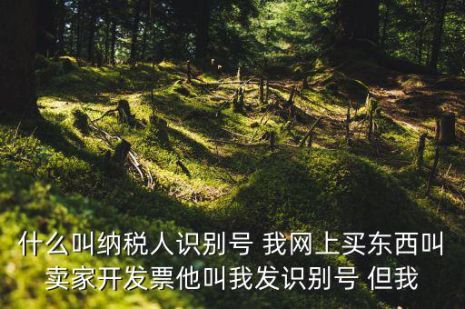公司納稅識(shí)別號(hào)是什么意思，納稅人識(shí)別碼是什么