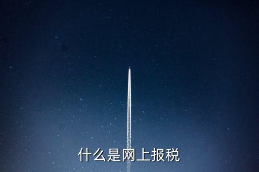網(wǎng)上報稅是指報什么稅，網(wǎng)上報稅 是報的什么