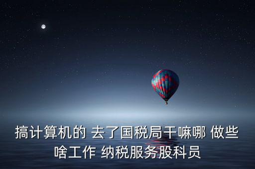 納服科是什么，搞計(jì)算機(jī)的 去了國稅局干嘛哪 做些啥工作 納稅服務(wù)股科員