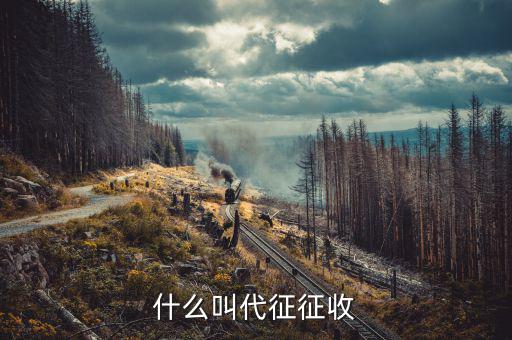 什么叫代征規(guī)費(fèi)，什么是規(guī)費(fèi)