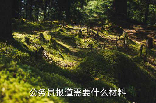 統(tǒng)務(wù)局報(bào)到用什么資料，畢業(yè)生檔案報(bào)到證報(bào)道手續(xù)