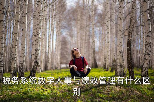 數(shù)字人事評(píng)是什么，稅務(wù)系統(tǒng)數(shù)字人事與績(jī)效管理有什么區(qū)別