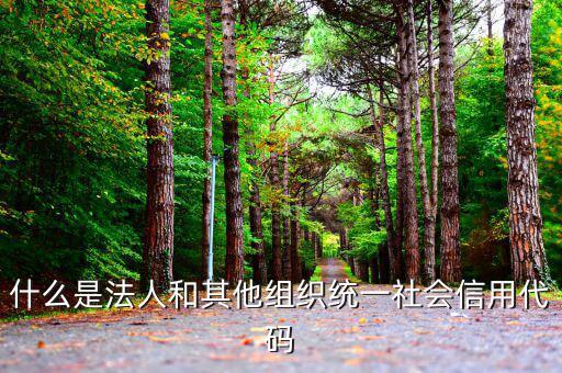 機關有社會信用代碼是什么意思，社會信用代碼與機構信用代碼有什么不同