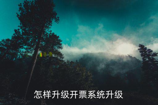開票用什么軟件升級，怎樣升級開票系統(tǒng)升級