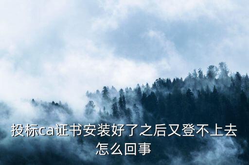 ca登陸不上是什么原因，登不上是怎么回事