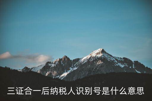 三證合一稅務(wù)識(shí)別號(hào)是什么意思，三證合一后納稅人識(shí)別號(hào)是什么意思