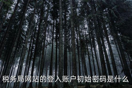 稅務局網站的登入賬戶初始密碼是什么