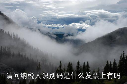 發(fā)票納稅人代碼是什么意思，請(qǐng)問(wèn)納稅人識(shí)別碼是什么發(fā)票上有嗎