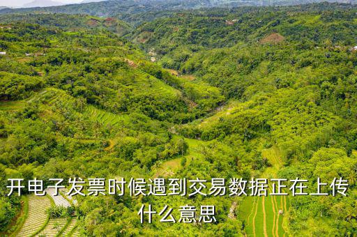 開電子發(fā)票時候遇到交易數(shù)據(jù)正在上傳什么意思