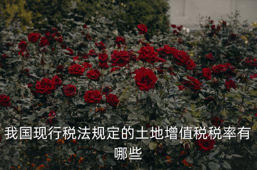 土地增值稅采用什么稅率，土地增值稅應(yīng)用于哪種稅率形式